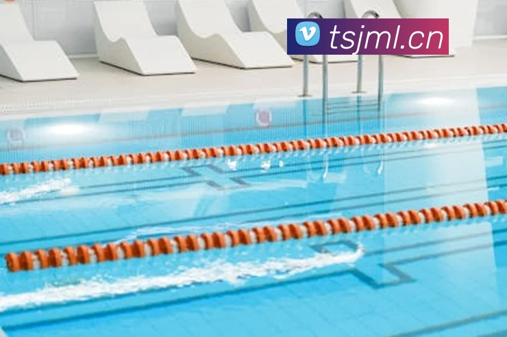 开云官方手机登录平台生态图